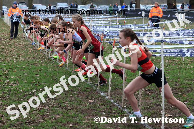 Girls Under-11s 2026 UK CAU Inter Counties Cross Country, Wollaton Park, Nottingham. Photo: David T. Hewitson/Sports for All Pics